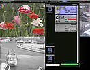 Tral 3 - NetViewer
