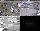 Tral 3 - NetViewer
