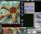 Tral 3 - FilePlayer