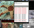 Tral 3 - FilePlayer