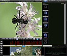 Tral-M - FilePlayer