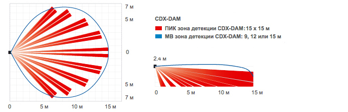 ���� ��������: ���������� CDX